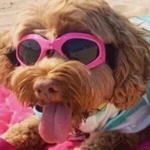 HIGH END EYEWEAR GLASSES FRAMES--DEEPLY DISCOUNTED!!! Take a look😎in my closet!